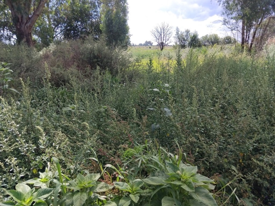 Commercial Property for Sale in Ellaton North West